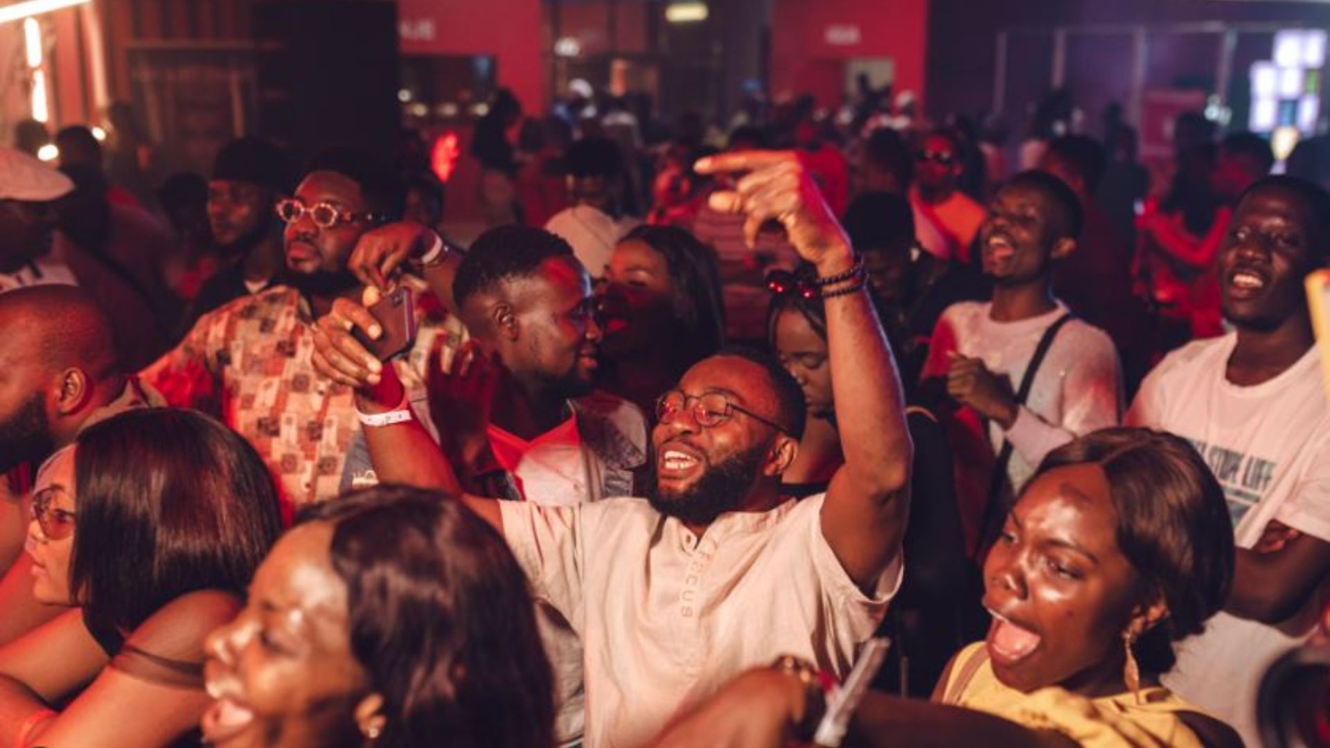 Vibrant Nigerian party